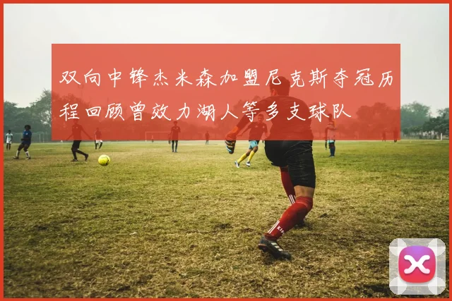 双向中锋杰米森加盟尼克斯夺冠历程回顾曾效力湖人等多支球队