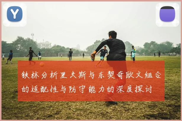 铁林分析里夫斯与东契奇欧文组合的适配性与防守能力的深度探讨